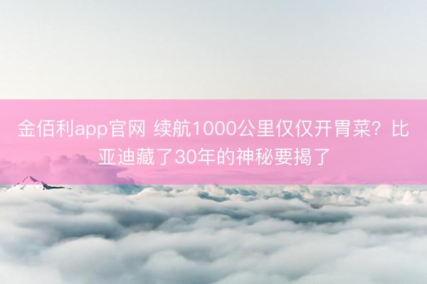 金佰利app官网 续航1000公里仅仅开胃菜？比亚迪藏了30年的神秘要揭了