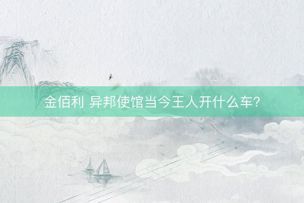 金佰利 异邦使馆当今王人开什么车？