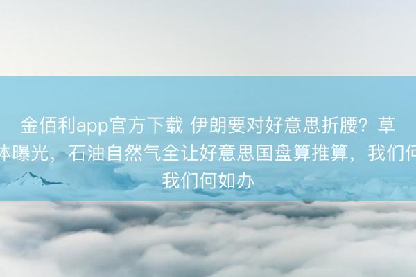 金佰利app官方下载 伊朗要对好意思折腰？草案本体曝光，石油自然气全让好意思国盘算推算，我们何如办